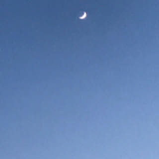 kimi
