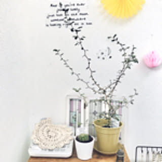Appletree