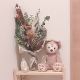 y.home