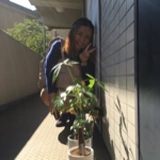 Takahashi