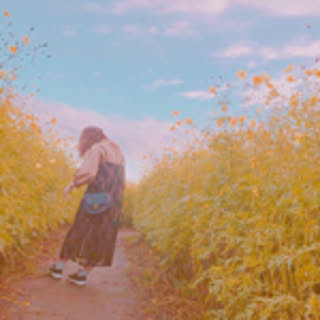 sekai_missu
