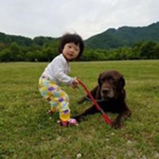Tamao