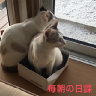 ryu-ei