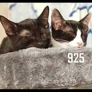 925_