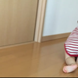 mushipai