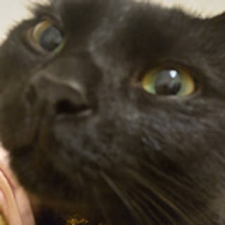 akiko5956