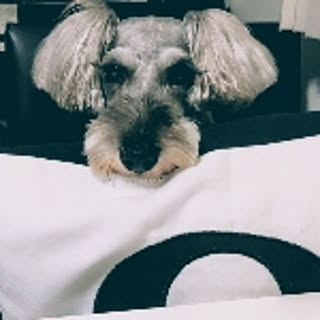 hiro