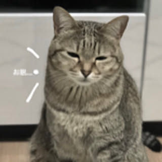 minami