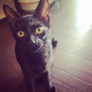 Maru