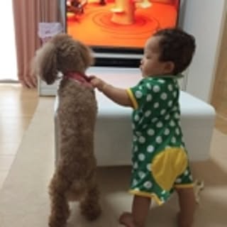 59nogenkidama