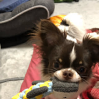 takkumoco
