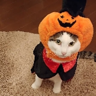 mogumogumogu