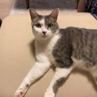 ich