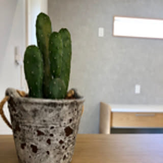 ruru