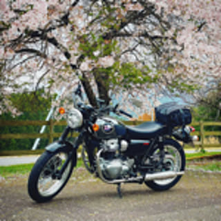 takeda1225