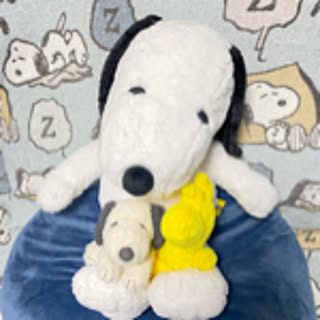 ms