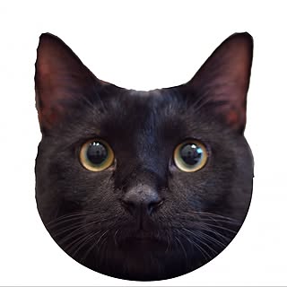 kyo