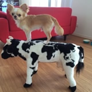 level97