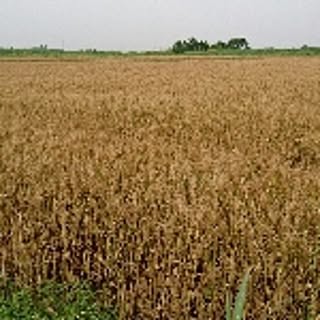 U5