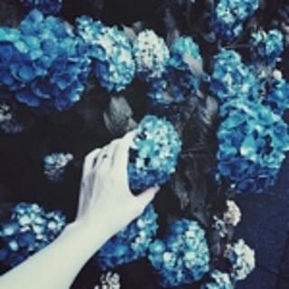 AIMER