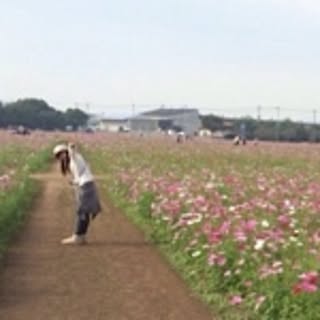 ukippp