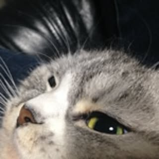 okisibasada
