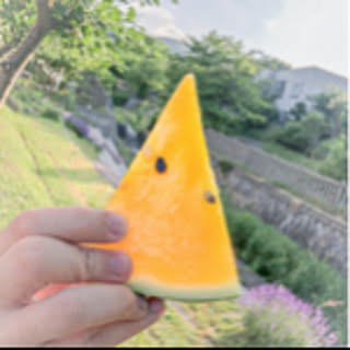 Miyuttpy