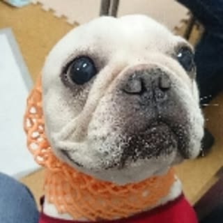 tateruzooo-