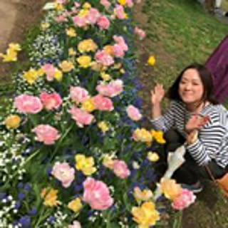 Haruchanmama