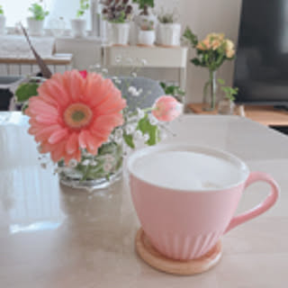 akiko-ov