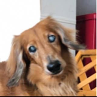 meru