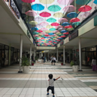 fumi