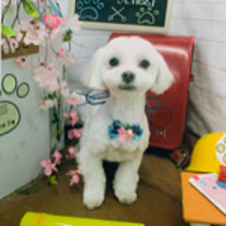 RYO