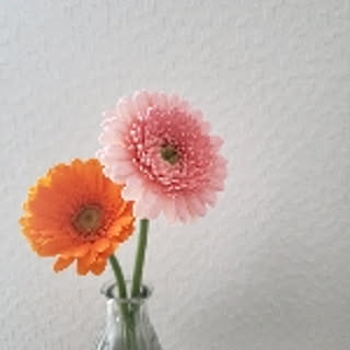 a-mi