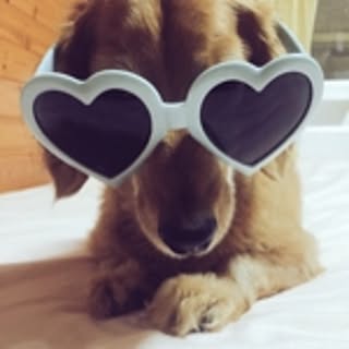 kuppiy