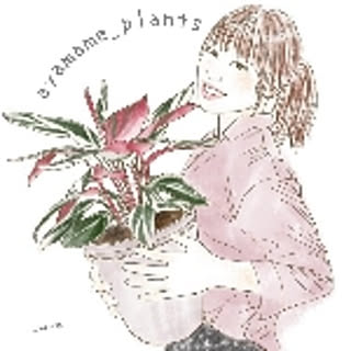 ayamame
