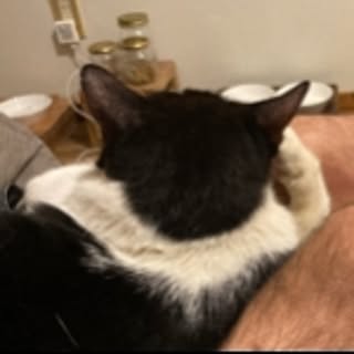 chico