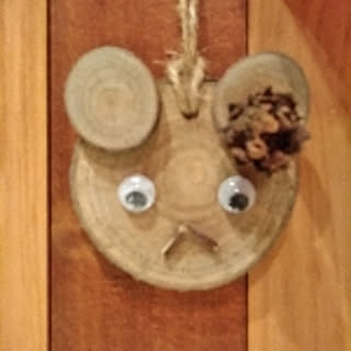 kuma8