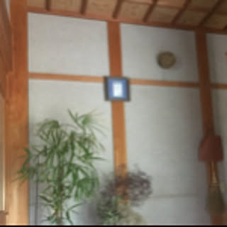 miho.ymmt1110