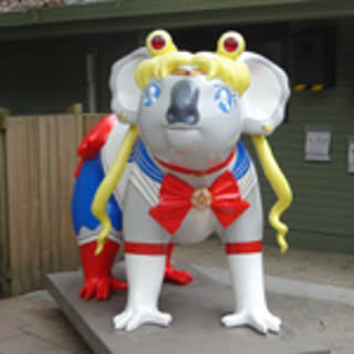 abkogckyoro
