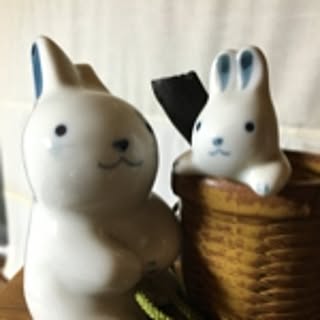 sakucha