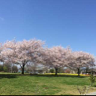 Sunny
