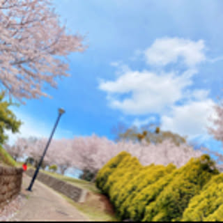 __S.home