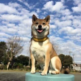 aya