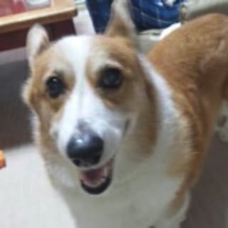 kyota