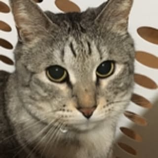 222