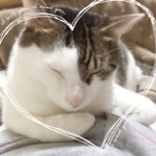 lovely_cocoa