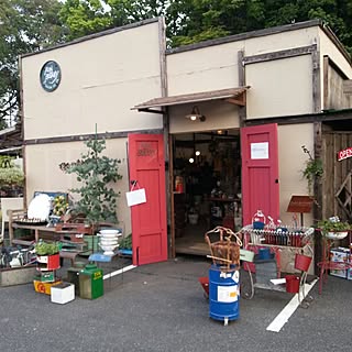BONBOTANY