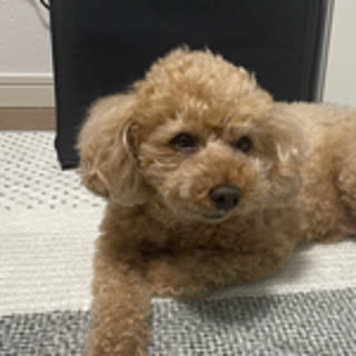 ma-chi