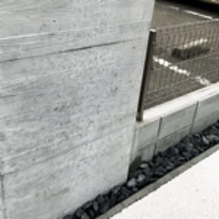 masu